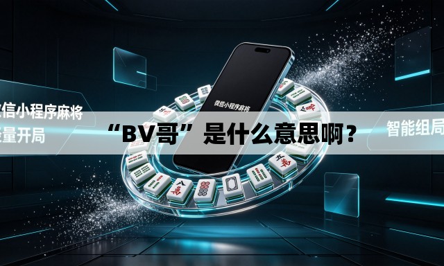 “BV哥”是什么意思啊？