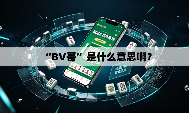“BV哥”是什么意思啊？