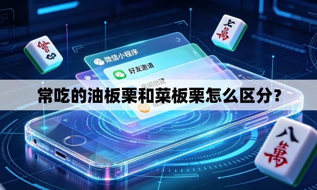 常吃的油板栗和菜板栗怎么区分？
