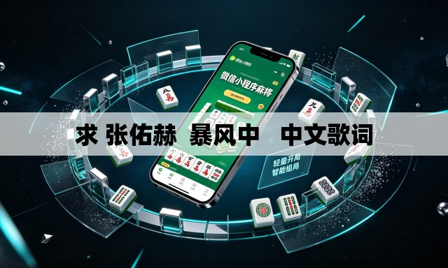 求 张佑赫  暴风中   中文歌词