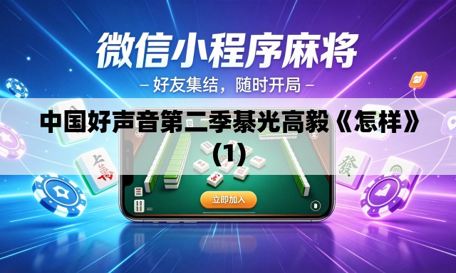 中国好声音第二季綦光高毅《怎样》(1) 中国好声音第二季綦光高毅《怎样》(1)