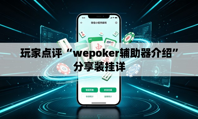 玩家点评“wepoker辅助器介绍”分享装挂详