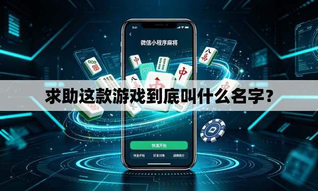 求助这款游戏到底叫什么名字？