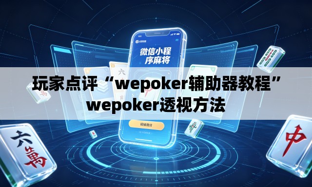 玩家点评“wepoker辅助器教程”wepoker透视方法
