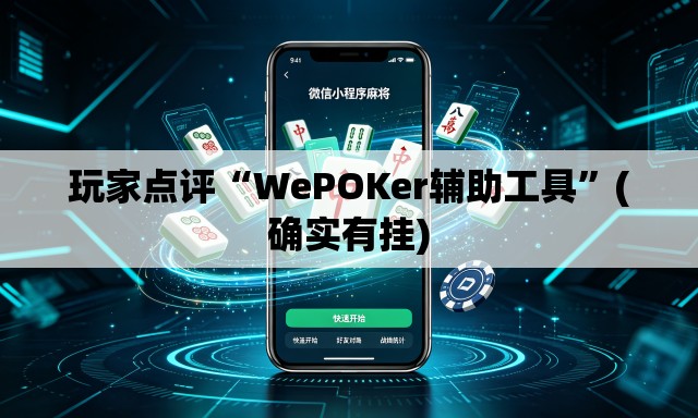 玩家点评“WePOKer辅助工具”(确实有挂)