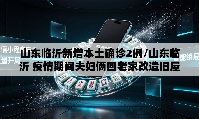 山东临沂新增本土确诊2例/山东临沂 疫情期间夫妇俩回老家改造旧屋视频
