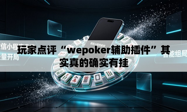 玩家点评“wepoker辅助插件”其实真的确实有挂