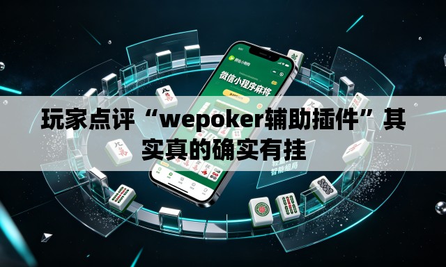 玩家点评“wepoker辅助插件	”其实真的确实有挂