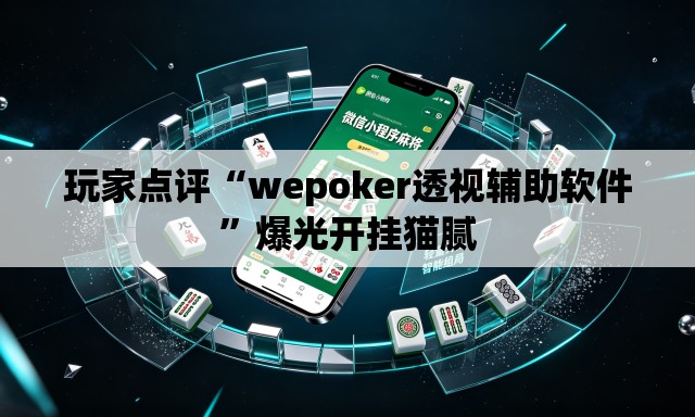 玩家点评“wepoker透视辅助软件	”爆光开挂猫腻