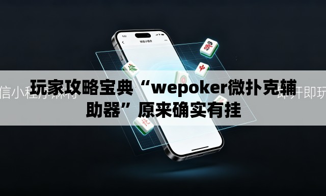 玩家攻略宝典“wepoker微扑克辅助器”原来确实有挂