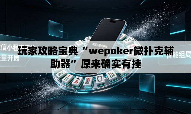 玩家攻略宝典“wepoker微扑克辅助器”原来确实有挂