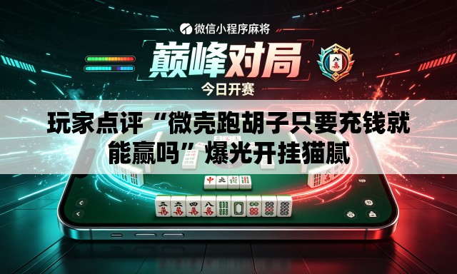 玩家点评“微壳跑胡子只要充钱就能赢吗”爆光开挂猫腻