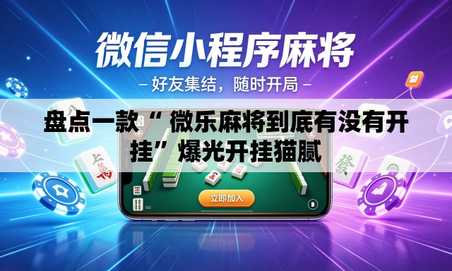 盘点一款“ 微乐麻将到底有没有开挂”爆光开挂猫腻