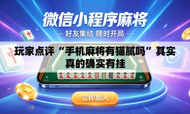 玩家点评“手机麻将有猫腻吗	”其实真的确实有挂