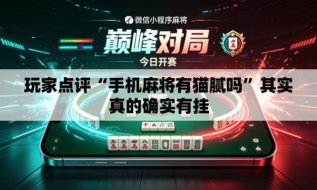 玩家点评“手机麻将有猫腻吗”其实真的确实有挂