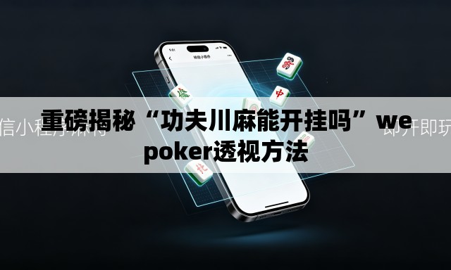重磅揭秘“功夫川麻能开挂吗”wepoker透视方法