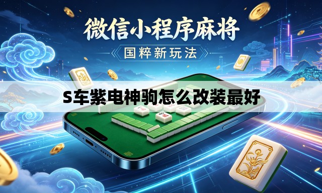 S车紫电神驹怎么改装最好 S车紫电神驹怎么改装最好